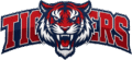 Tigers Cheer Academy